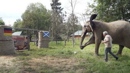 Bubi the elephant predicts Germany to win Euro 2024 opener against Scotland