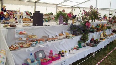 All roads lead to 105th Dungarvan Show