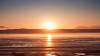 Friends of The River Suir to celebrate Summer Solstice