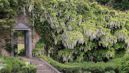 Waterford's Mount Congreve Gardens honour horticulturalist Herman Dool