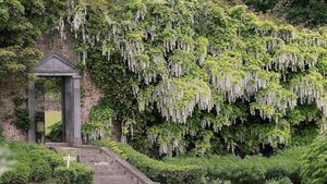Waterford's Mount Congreve Gardens honour horticulturalist Herman Dool