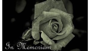 Recent deaths of people from Waterford