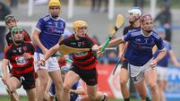A weekend of hurling league finals awaits
