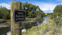 Farming: Nature restoration will be voluntary
