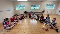 Local Notes: Playground opening, Déise draw and set dancing