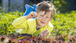 Green Fingers: Last dance for growing some food crops  Green Fingers: Last dance for growing some food crops