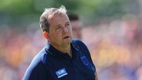 Davy Fitzgerald calls time as Déise hurling manager