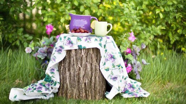Green Fingers: Making the most of the season
