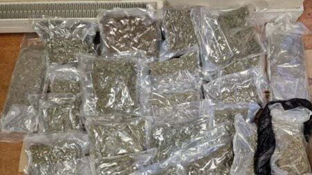 Gardaí seize cannabis worth €320,000 in Co Wicklow