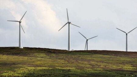 Wind farm development in Cork refused planning to protect whooper swan habitat