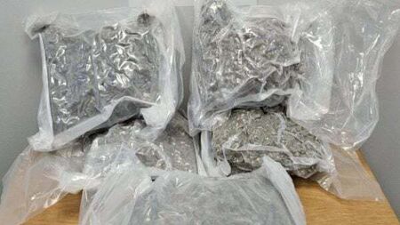 Two men charged after €120,000 of drugs seized in Dublin