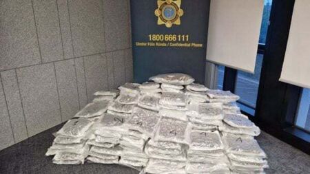 Man arrested as gardaí seize cannabis worth €1.6 million