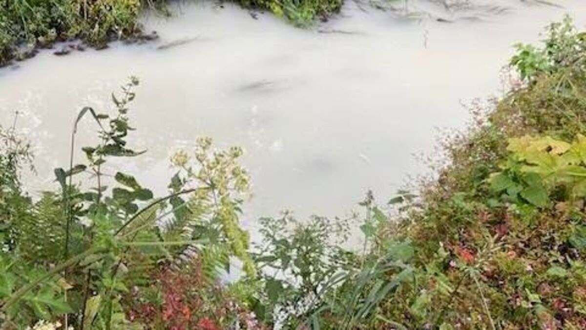 Council investigates 'chemical smell' and discolouration at St John's River
