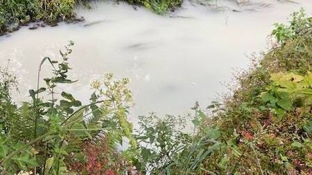 Council investigates 'chemical smell' and discolouration at St John's River