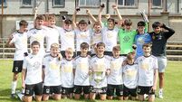 Super Seagulls' soar to brilliant cup final success