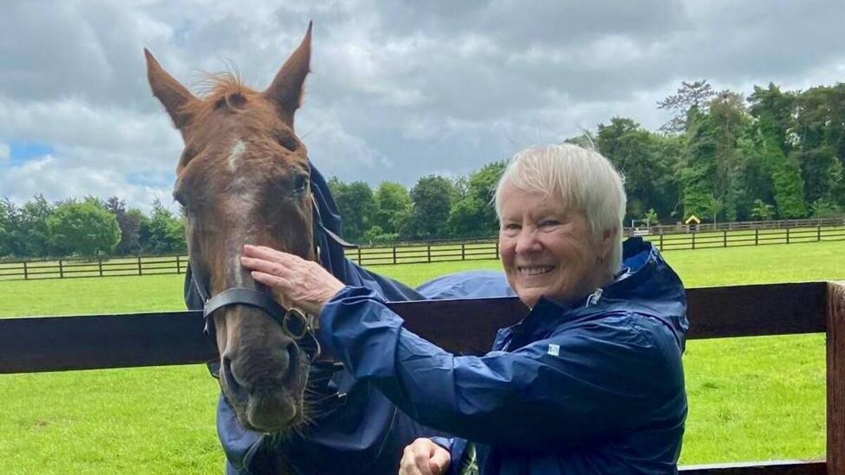 Local Notes: Stradbally's active retired enjoy outing to the Irish National Stud and Gardens 
