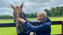 Local Notes: Stradbally's active retired enjoy outing to the Irish National Stud and Gardens 