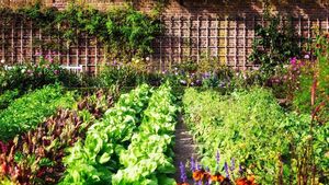 Former Waterford teacher aims to get horticulture onto Leaving Cert curriculum