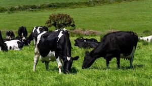 Farming: EPA figures show 4.6% reduction in agricultural emissions