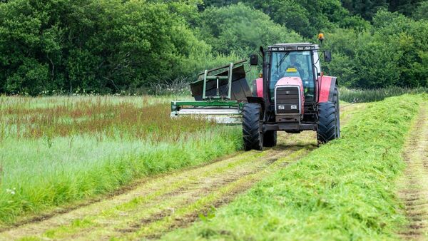 Farming: Classifying interim acres payments as overpayments unacceptable - ICSA
