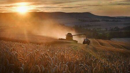 Farming: Tillage crop area remains steady