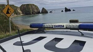 Crime detected at local summer spots