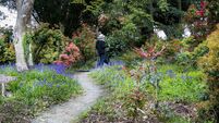 Local Notes: Tidy Towns news, Japanese Gardens success, great local theatre and more...