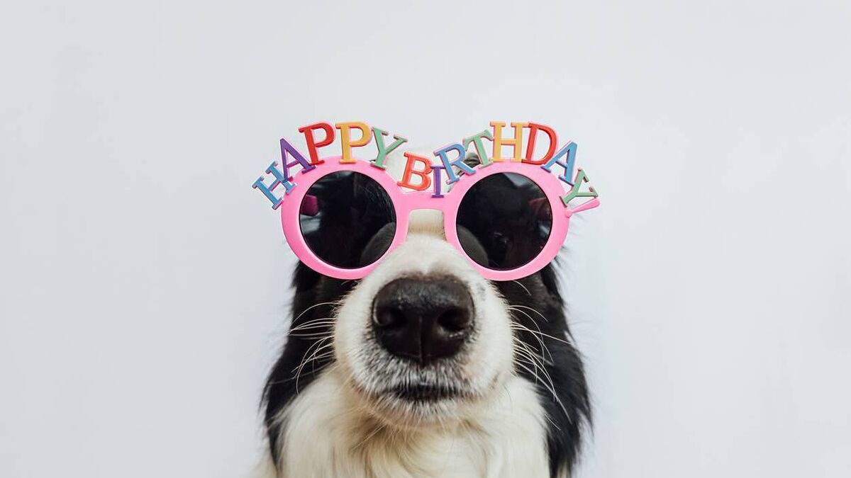 Local Notes: Birthdays, wedding anniversaries and lots more community news from St Saviour's and St Paul's