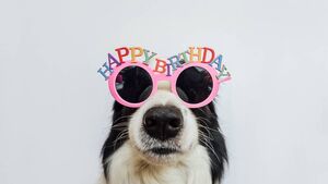 Local Notes: Birthdays, wedding anniversaries and lots more community news from St Saviour's and St Paul's