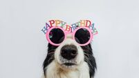 Local Notes: Birthdays, wedding anniversaries and lots more community news from St Saviour's and St Paul's