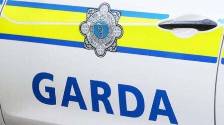 Motorcyclist (20s) dies in single-vehicle collision in Dublin
