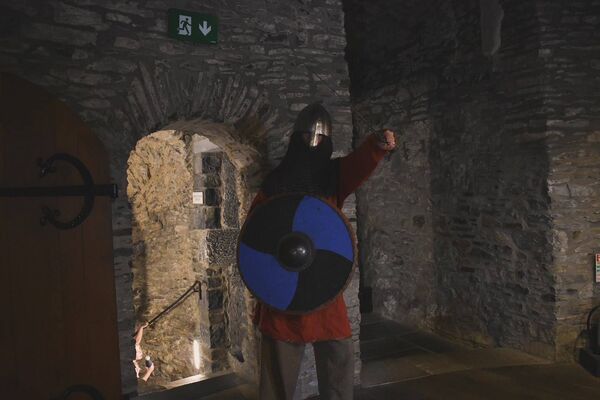 Launch of Aonach na nDéise at Reginalds Tower