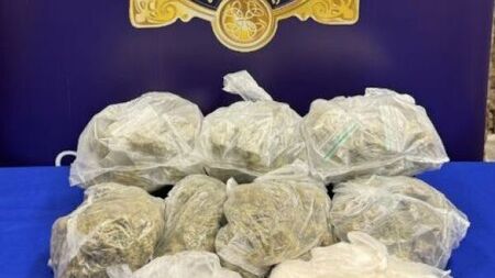 Man arrested as gardaí seize cannabis and cocaine worth €97,000