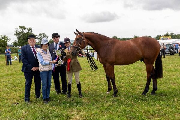Champion two-year-old colt, gelding or filly, sponsored by Jenny Hunt, pictured are John O’Donoghue, Jenny Hunt, Patrick O’Sullivan and Rosemary Connors (winner). Champion two-year-old colt, gelding or filly, sponsored by Jenny Hunt, pictured are John O’Donoghue, Jenny Hunt, Patrick O’Sullivan and Rosemary Connors (winner).