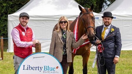 105th Dungarvan Show a phenomenal success