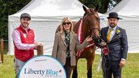 105th Dungarvan Show a phenomenal success