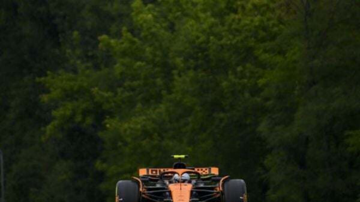 Lando Norris secures fastest time in final practice for Hungarian Grand Prix