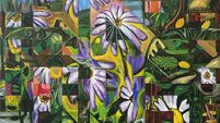 New exhibition announced for GOMA Waterford