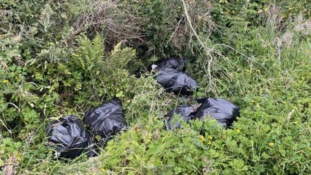 Waterford Council fines woman for illegal dumping