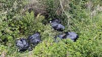 Waterford Council fines woman for illegal dumping
