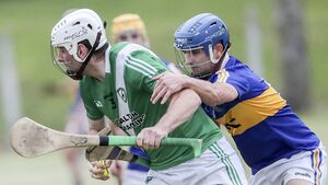 Gleeson guides Clonea to 24 point triumph on opening night