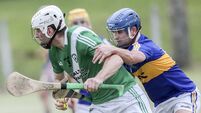 Gleeson guides Clonea to 24 point triumph on opening night