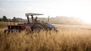 Waterford Farming: Order your seed early! Waterford Farming: Order your seed early!