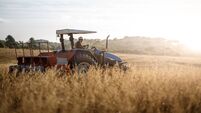 Waterford Farming: Order your seed early!
