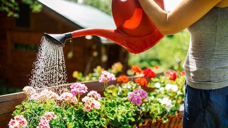 Green Fingers: Should I stay or should I go