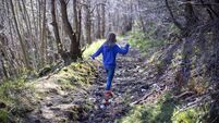 Local Notes: Teen girls adventure walk, a puzzling time and sponsored walk