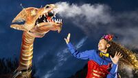 WATCH: Photo reel of people attending Spraoi over the years