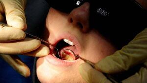 Former couple waged ‘campaign of intimidation and harassment ‘ against dentist Former couple waged ‘campaign of intimidation and harassment ‘ against dentist