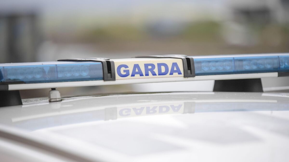 Garda appeal for info on jeep allegedly involved in robberies