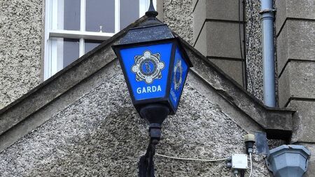 Jailed fraudster gave girlfriend false name, told her he was undercover garda, took €6k from her